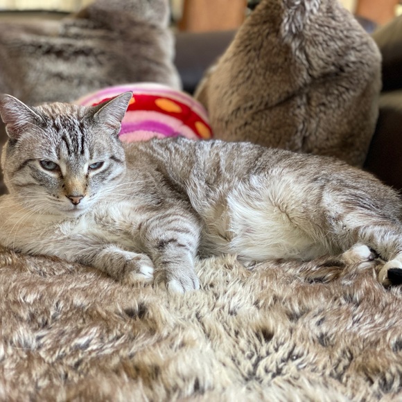 Meet Wendy, a Posh Ambassador! - Picture 12 of 16